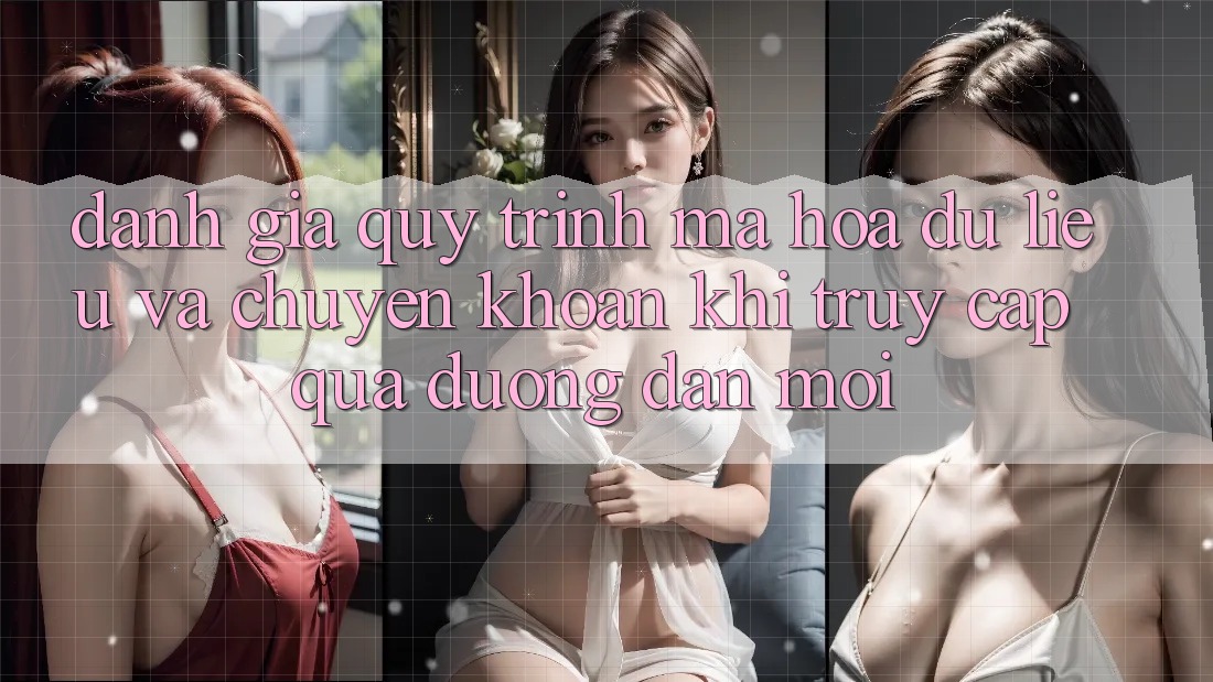 Đánh Giá Quy Trình Mã hóa dữ liệu Và Chuyển khoản Khi Truy Cập Qua Đường dẫn Mới