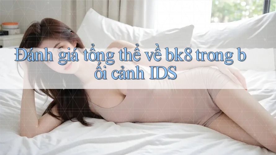 Đánh giá tổng thể về bk8 trong bối cảnh IDS