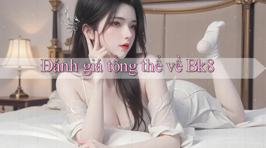 Đánh giá tổng thể về Bk8