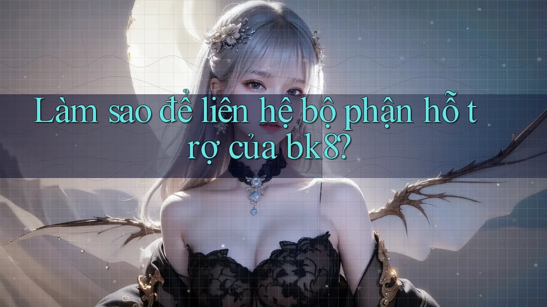 Làm sao để liên hệ bộ phận hỗ trợ của bk8?